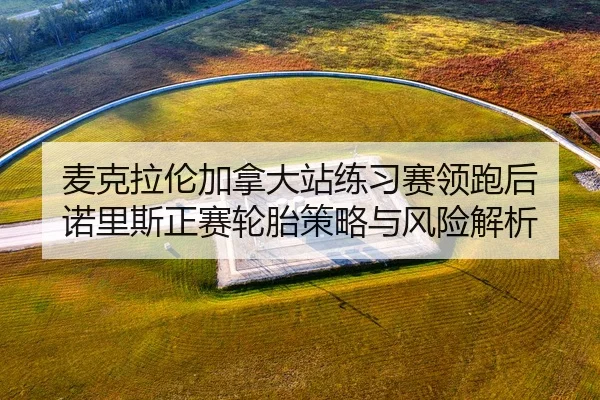 麦克拉伦加拿大站练习赛领跑后 诺里斯正赛轮胎策略与风险解析 | j9 game