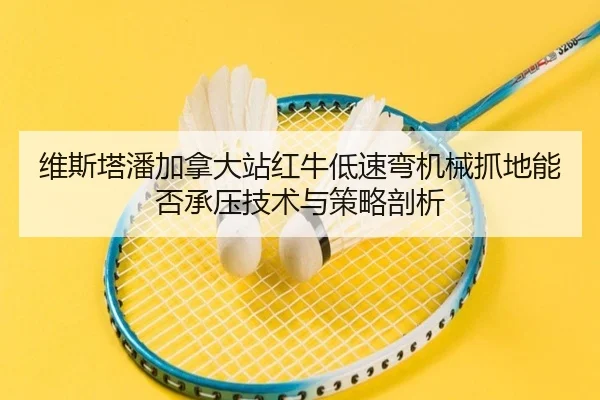 维斯塔潘加拿大站红牛低速弯机械抓地能否承压技术与策略剖析