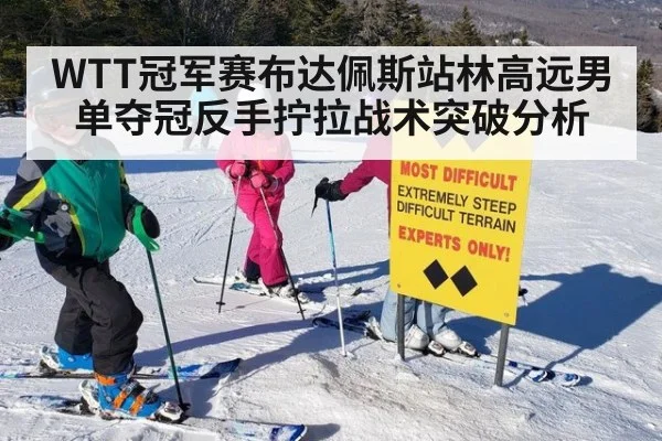 WTT冠军赛布达佩斯站林高远男单夺冠反手拧拉战术突破分析
