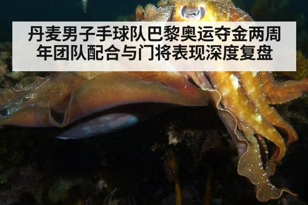 丹麦男子手球队巴黎奥运夺金两周年团队配合与门将表现深度复盘